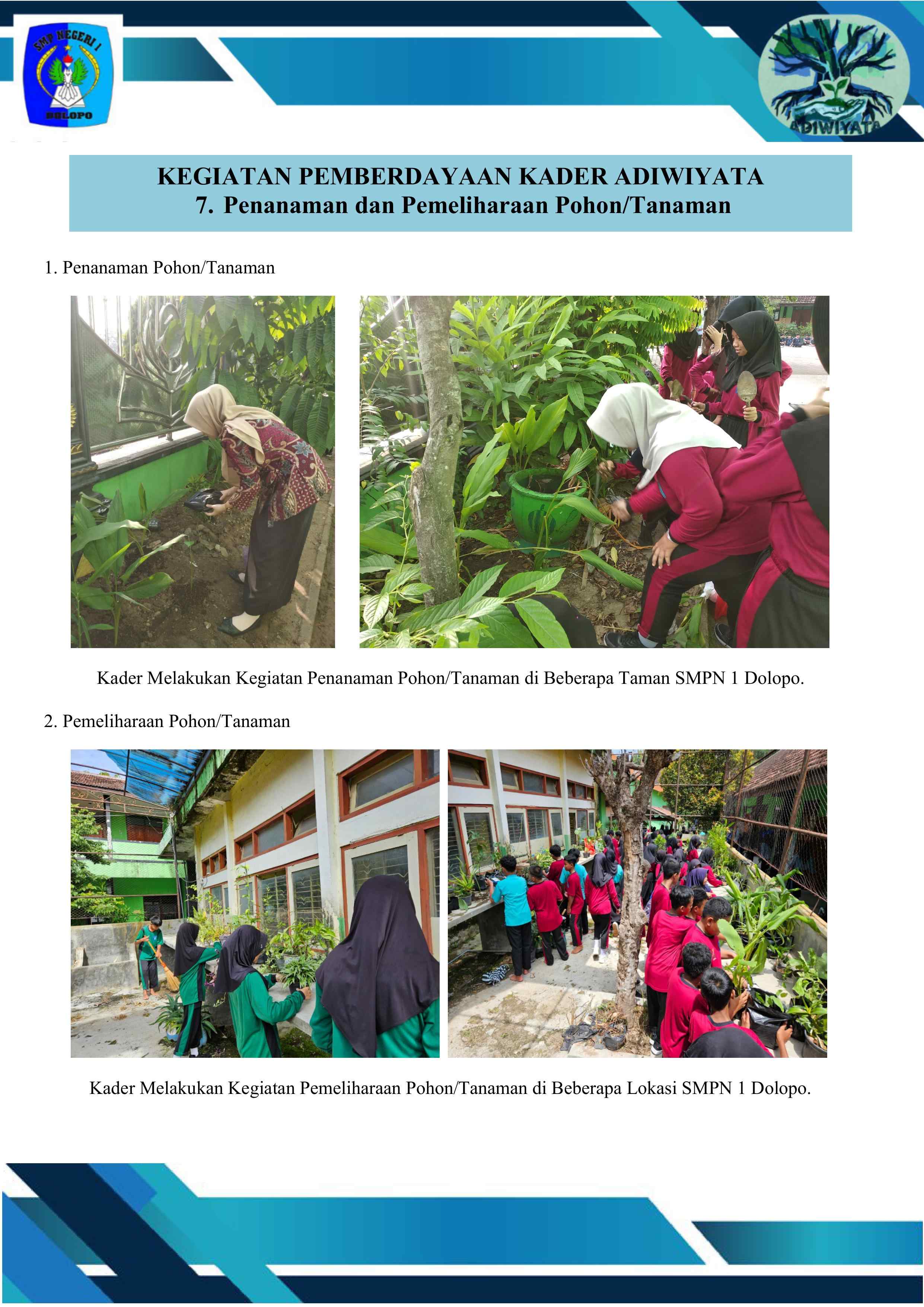 Penanaman dan Pemeliharaan Tanaman